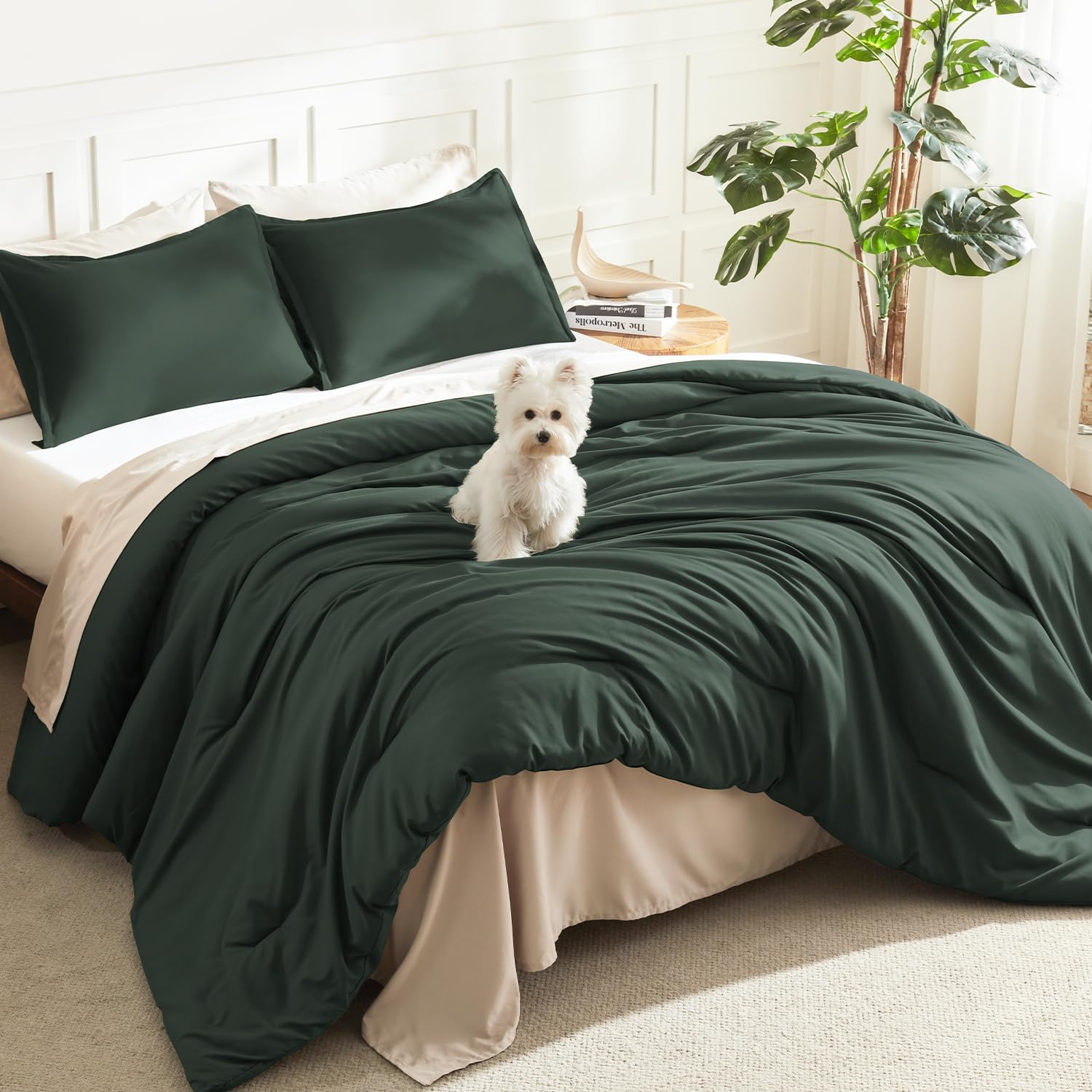 Litanika Queen Comforter Set Sage Green, 3 Pieces Lightweight Solid Bed Set | Soft Fluffy Down Alternative All Season Quilt Blanket