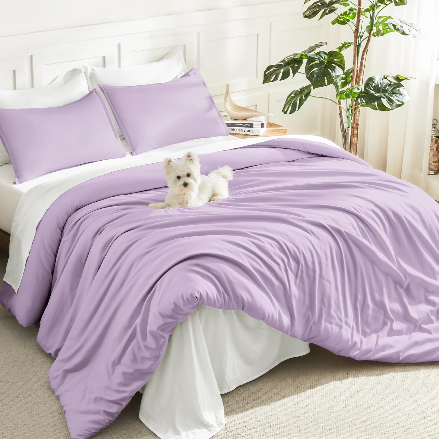 Litanika Queen Comforter Set Sage Green, 3 Pieces Lightweight Solid Bed Set | Soft Fluffy Down Alternative All Season Quilt Blanket