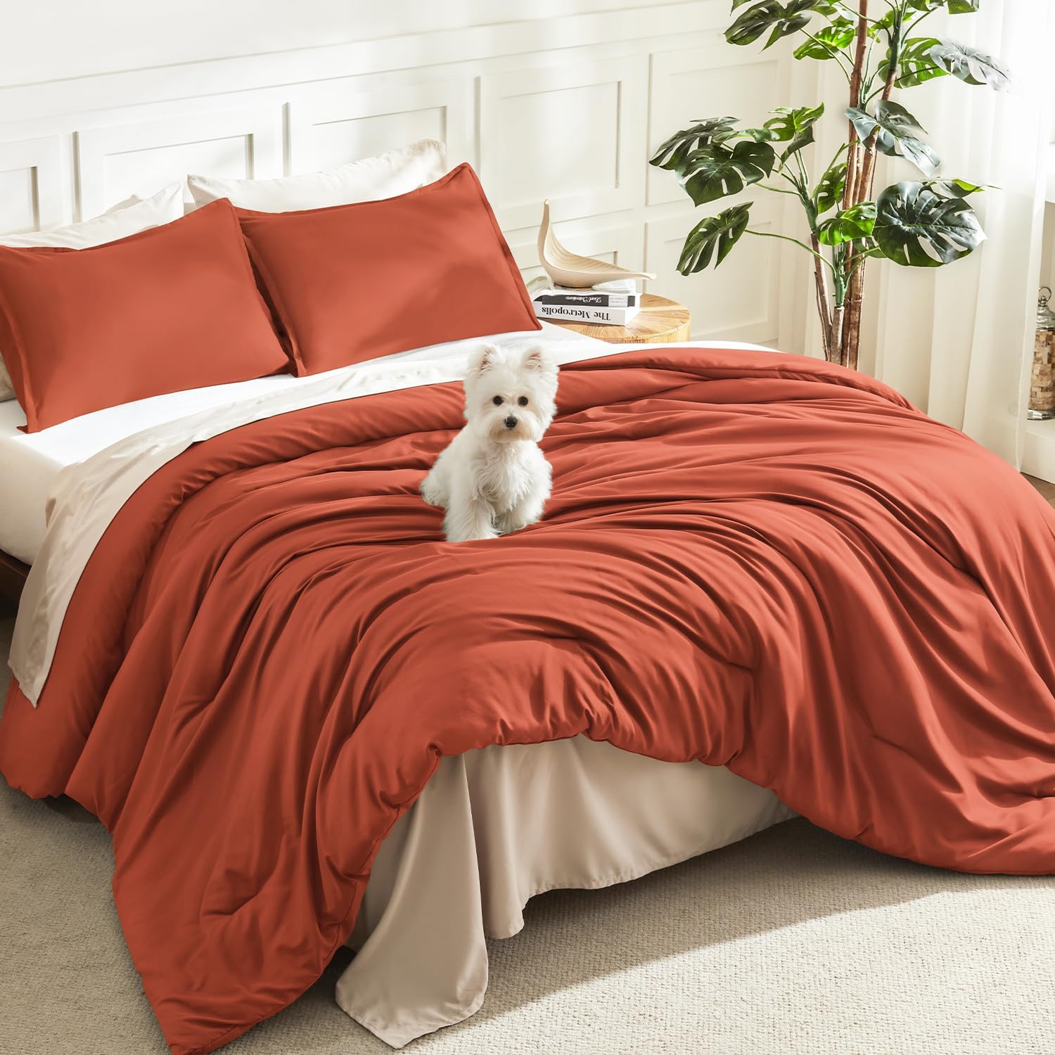 Litanika Queen Comforter Set Sage Green, 3 Pieces Lightweight Solid Bed Set | Soft Fluffy Down Alternative All Season Quilt Blanket