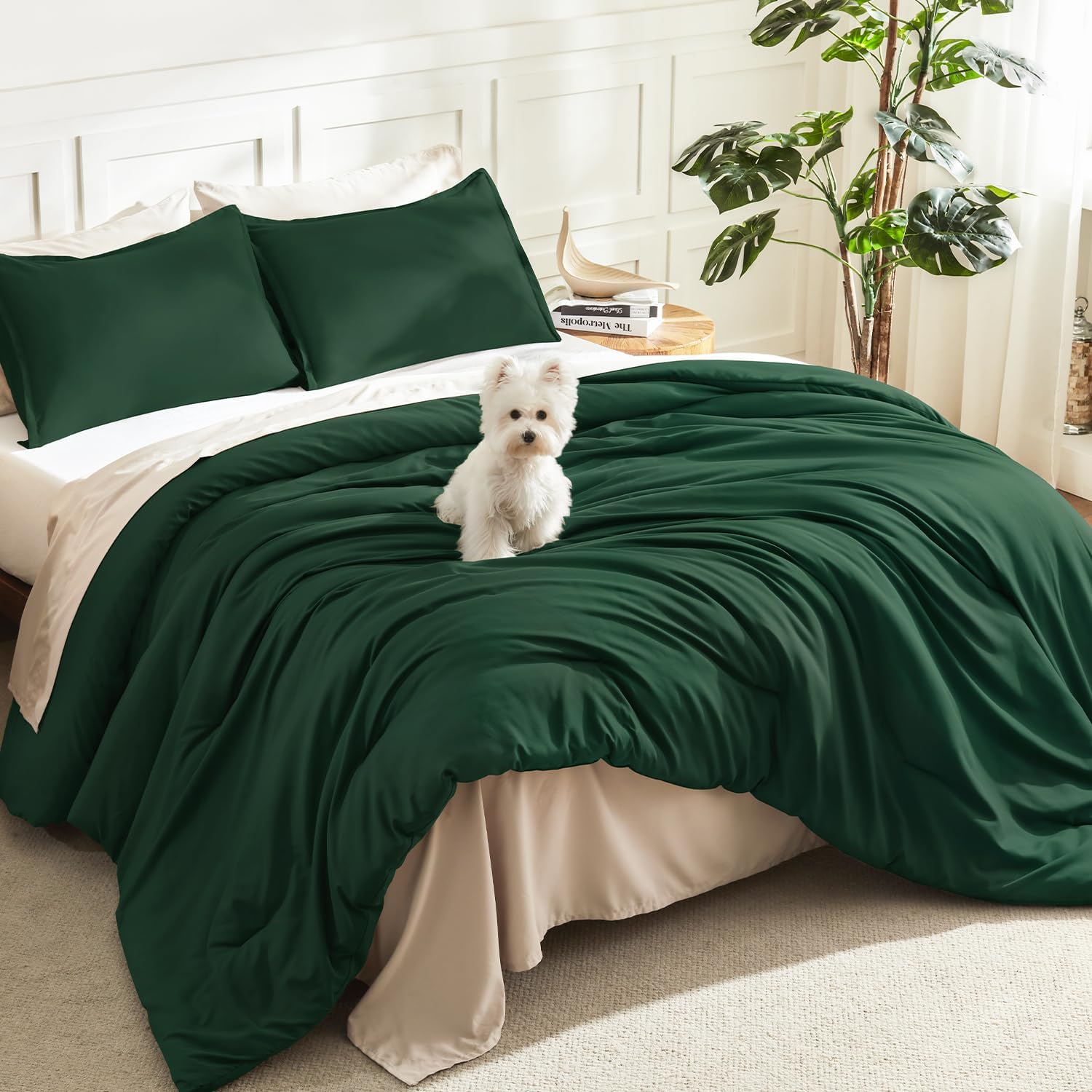Litanika Queen Comforter Set Sage Green, 3 Pieces Lightweight Solid Bed Set | Soft Fluffy Down Alternative All Season Quilt Blanket