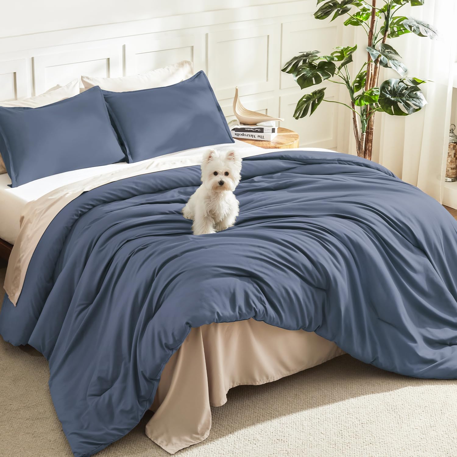 Litanika Queen Comforter Set Sage Green, 3 Pieces Lightweight Solid Bed Set | Soft Fluffy Down Alternative All Season Quilt Blanket
