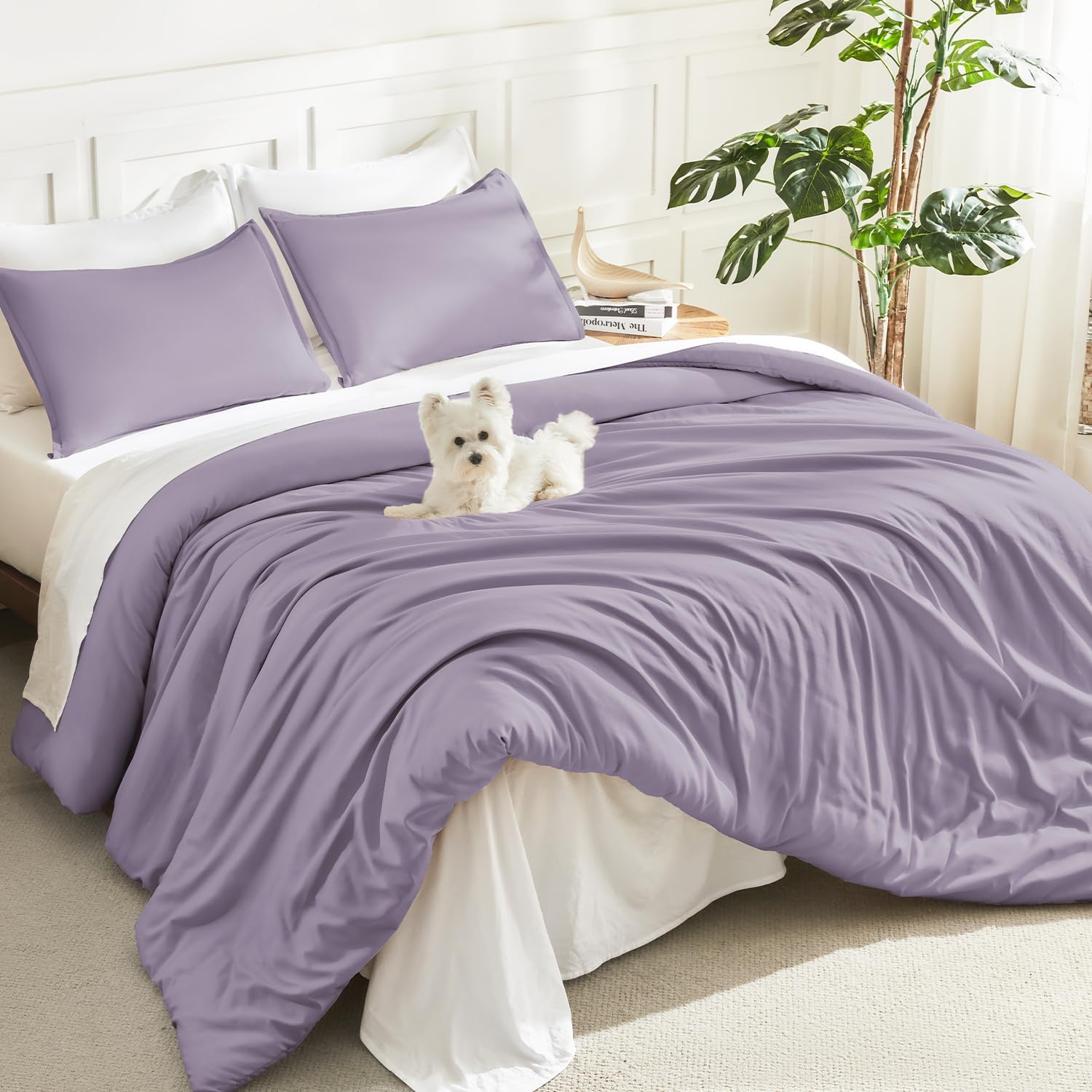 Litanika Queen Comforter Set Sage Green, 3 Pieces Lightweight Solid Bed Set | Soft Fluffy Down Alternative All Season Quilt Blanket
