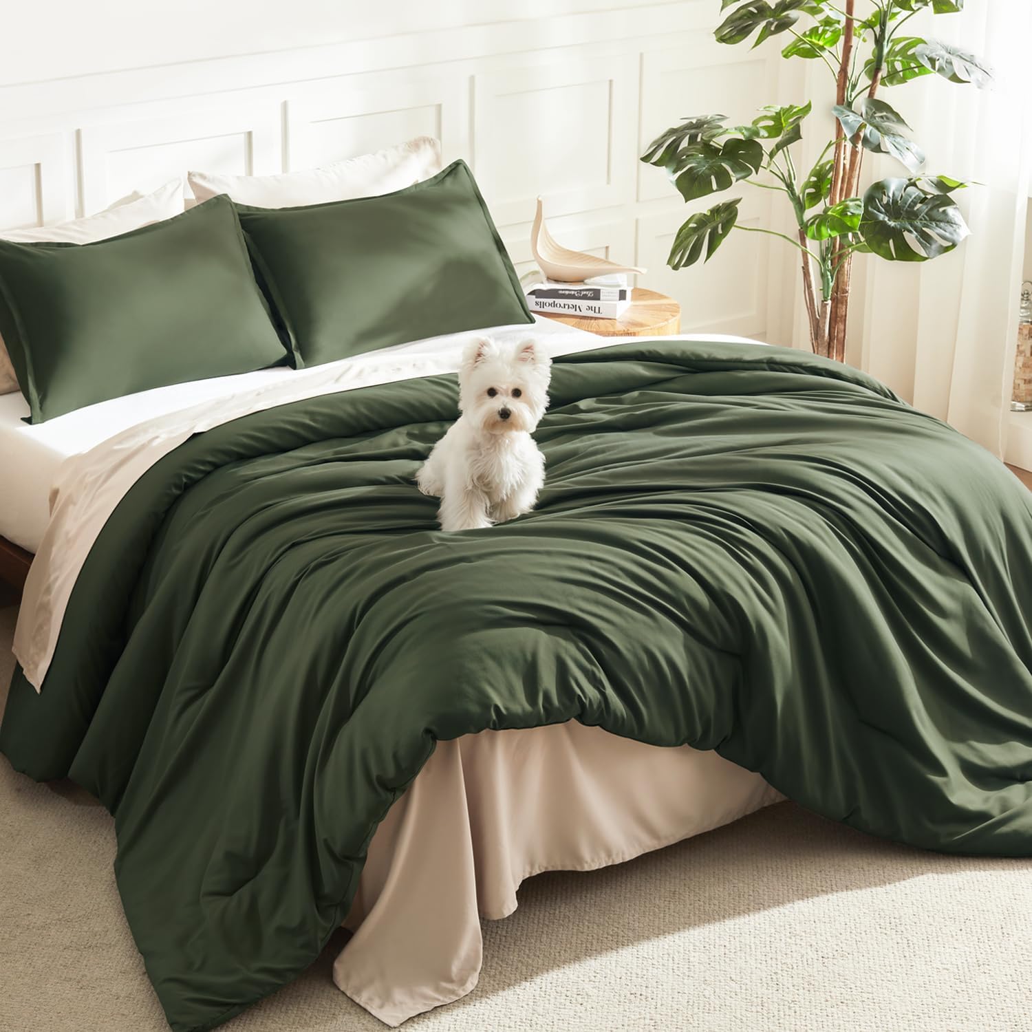 Litanika Queen Comforter Set Sage Green, 3 Pieces Lightweight Solid Bed Set | Soft Fluffy Down Alternative All Season Quilt Blanket