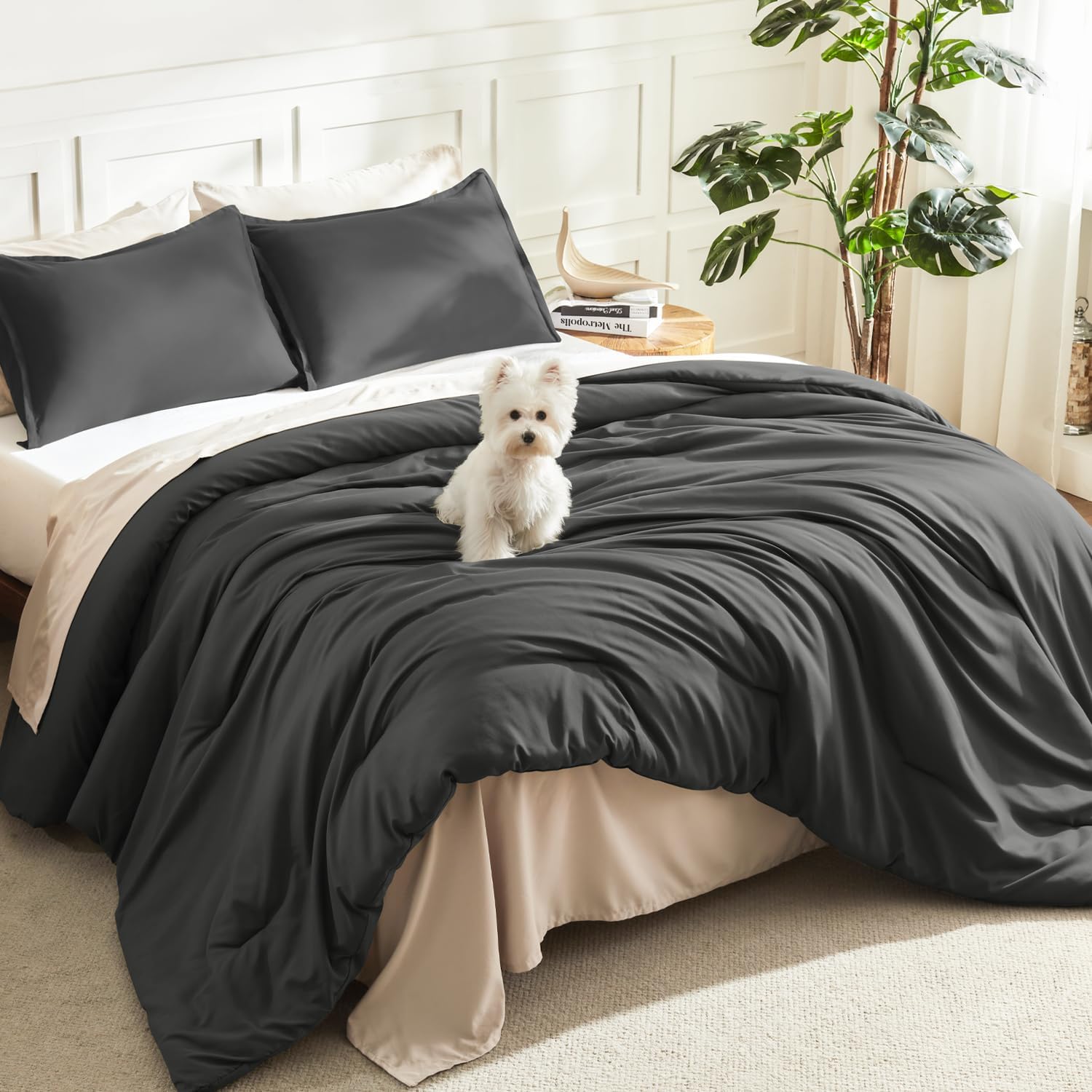 Litanika Queen Comforter Set Sage Green, 3 Pieces Lightweight Solid Bed Set | Soft Fluffy Down Alternative All Season Quilt Blanket
