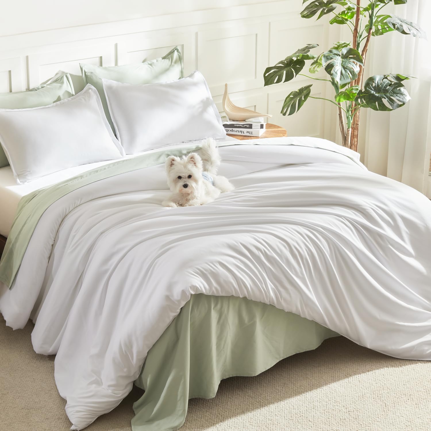 Litanika Queen Comforter Set Sage Green, 3 Pieces Lightweight Solid Bed Set | Soft Fluffy Down Alternative All Season Quilt Blanket