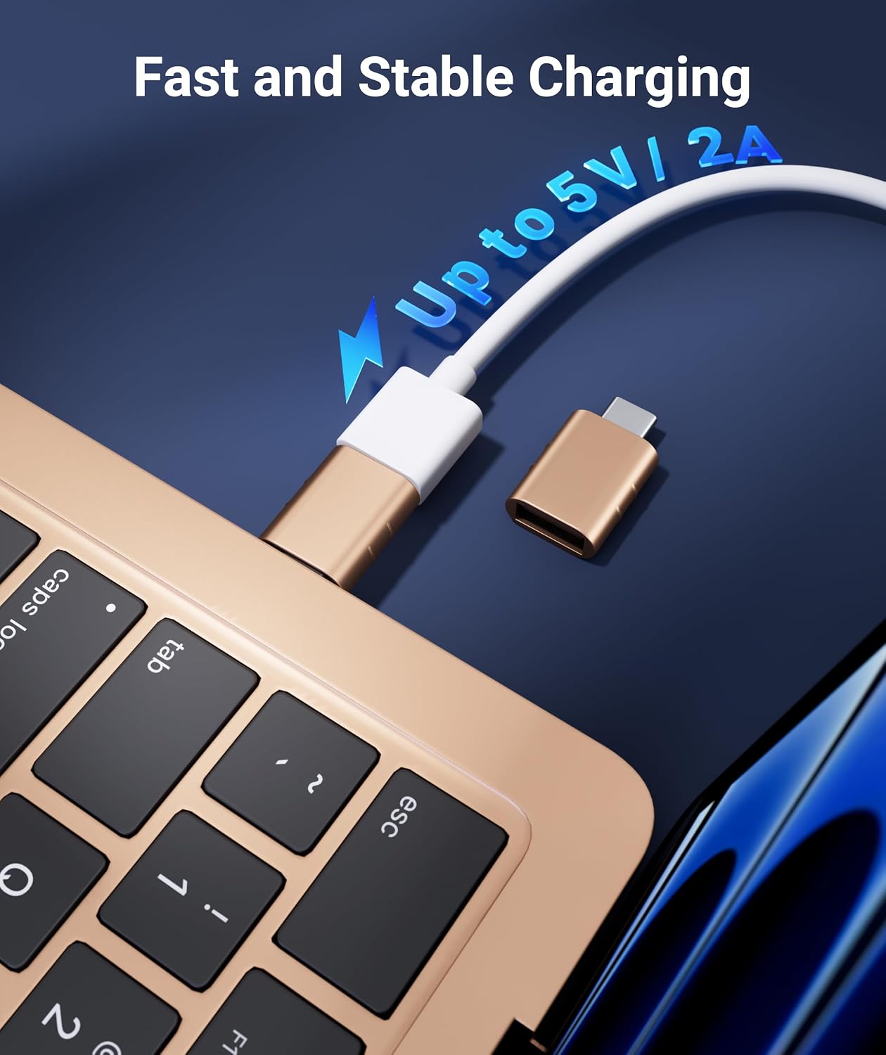 Syntech USB C to USB Adapter Pack of 2 USB C Male to USB3 Female Adapter Compatible with iPhone 17 Pro Max MacBook Pro Air 2024 iMac iPad mini Pro, Other Type C or Thunderbolt 5/4 Devices, Gold