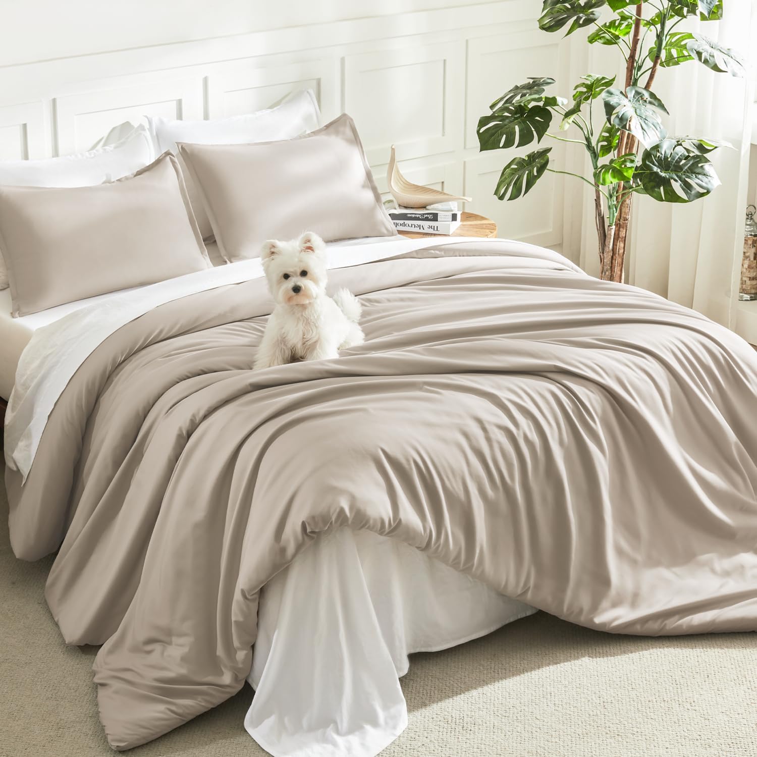 Litanika Queen Comforter Set Sage Green, 3 Pieces Lightweight Solid Bed Set | Soft Fluffy Down Alternative All Season Quilt Blanket